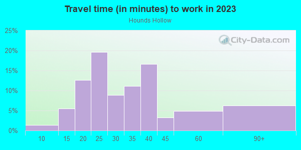 Commute time to work in Hounds Hollow in Lutz neighborhood in FL