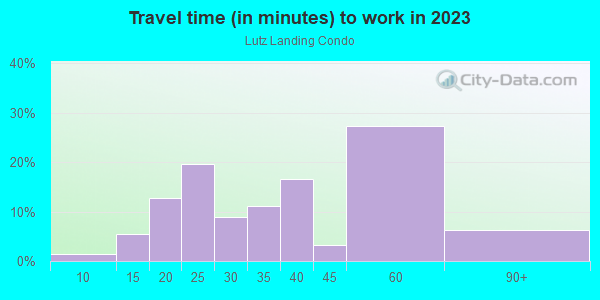 Commute time to work in Lutz Landing Condo in Lutz neighborhood in FL
