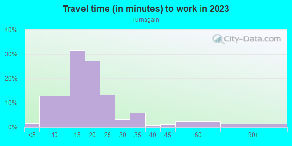 Commute time to work in Turnagain in Anchorage neighborhood in AK