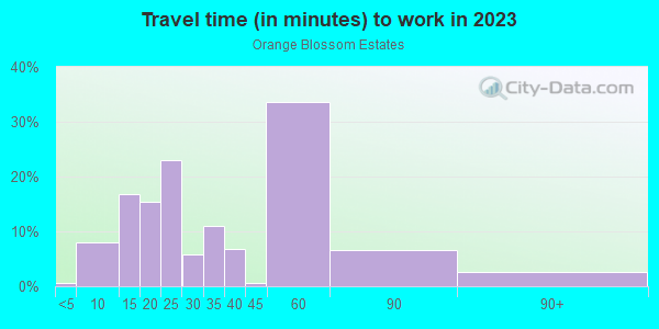 Commute time to work in Orange Blossom Estates in Lutz neighborhood in FL