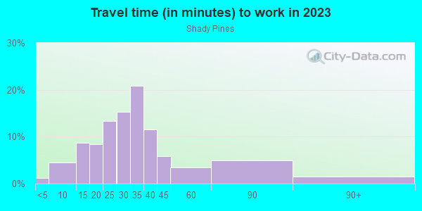Commute time to work in Shady Pines in Lutz neighborhood in FL