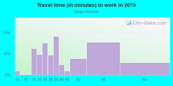Commute time to work in Tampa Overlook in Tampa neighborhood in FL