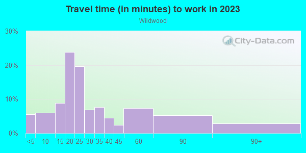 Commute time to work in Wildwood in Lutz neighborhood in FL
