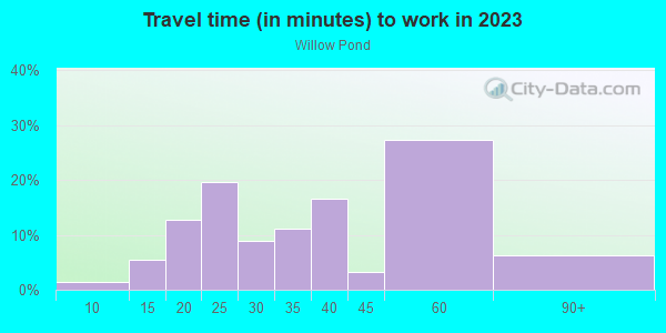 Commute time to work in Willow Pond in Lutz neighborhood in FL