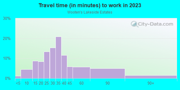 Commute time to work in Wooten's Lakeside Estates in Lutz neighborhood in FL