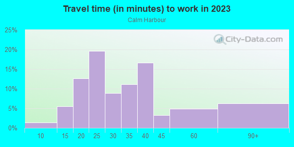Commute time to work in Calm Harbour in Lutz neighborhood in FL