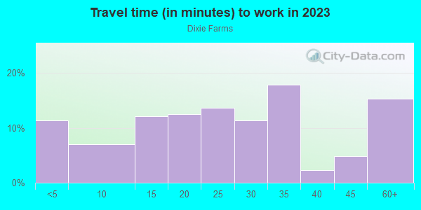 Commute time to work in Dixie Farms in Tampa neighborhood in FL