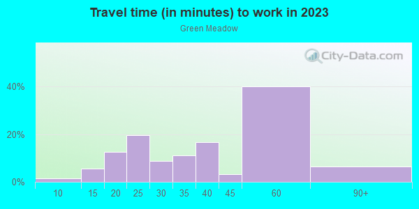 Commute time to work in Green Meadow in Lutz neighborhood in FL