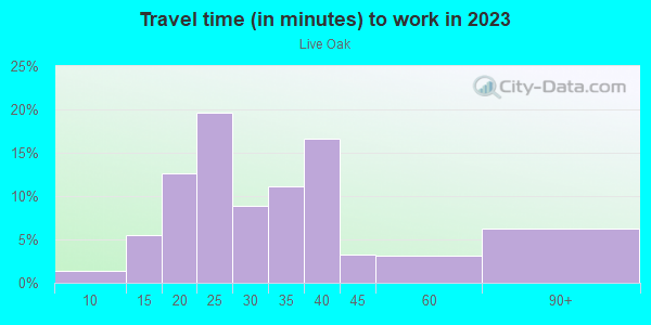Commute time to work in Live Oak in Lutz neighborhood in FL