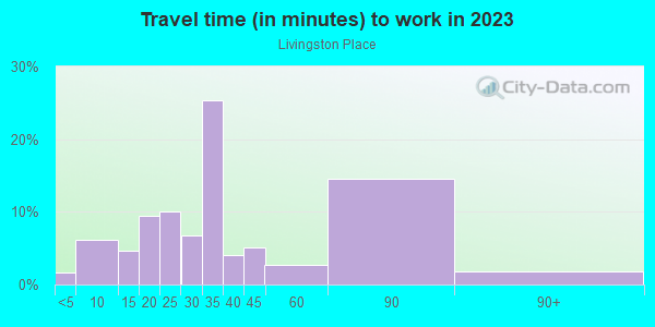 Commute time to work in Livingston Place in Lutz neighborhood in FL
