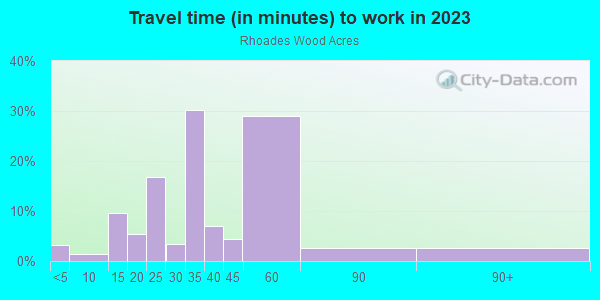 Commute time to work in Rhoades Wood Acres in Lutz neighborhood in FL