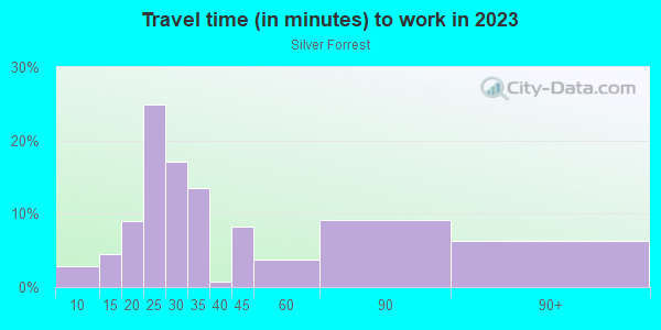 Commute time to work in Silver Forrest in Lutz neighborhood in FL