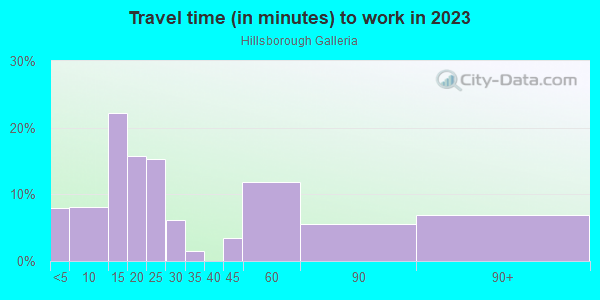 Commute time to work in Hillsborough Galleria in Tampa neighborhood in FL