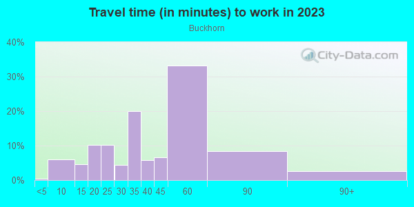 Commute time to work in Buckhorn in Valrico neighborhood in FL