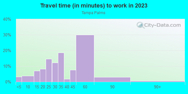 Commute time to work in Tampa Palms in Tampa neighborhood in FL