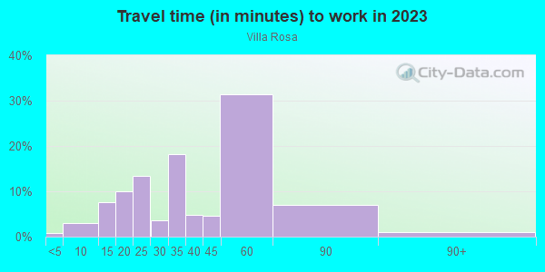Commute time to work in Villa Rosa in Lutz neighborhood in FL