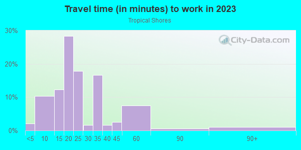 Commute time to work in Tropical Shores in Saint Petersburg neighborhood in FL