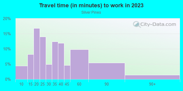 Commute time to work in Silver Pines in Orlando neighborhood in FL