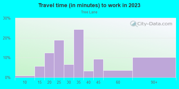 Commute time to work in Tree Lane in Orlando neighborhood in FL