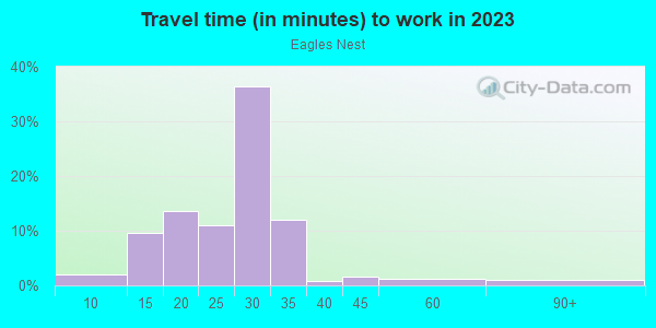 Commute time to work in Eagles Nest in Orlando neighborhood in FL