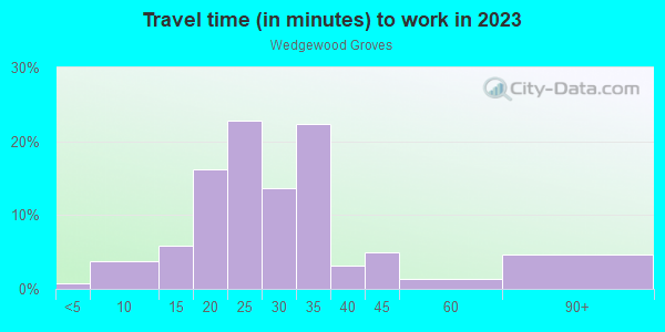 Commute time to work in Wedgewood Groves in Orlando neighborhood in FL