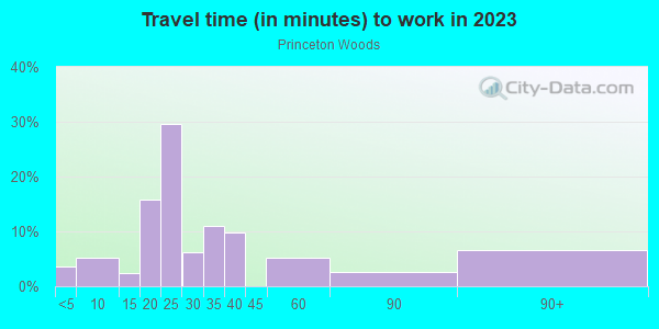 Commute time to work in Princeton Woods in Mobile neighborhood in AL