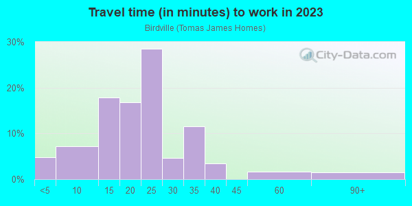 Commute time to work in Birdville in Mobile neighborhood in AL