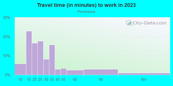Commute time to work in Pinebreeze in Gainesville neighborhood in FL