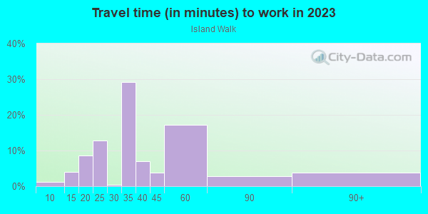 Commute time to work in Island Walk in Lakeland neighborhood in FL