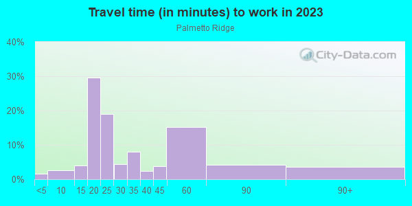 Commute time to work in Palmetto Ridge in Winter Haven neighborhood in FL
