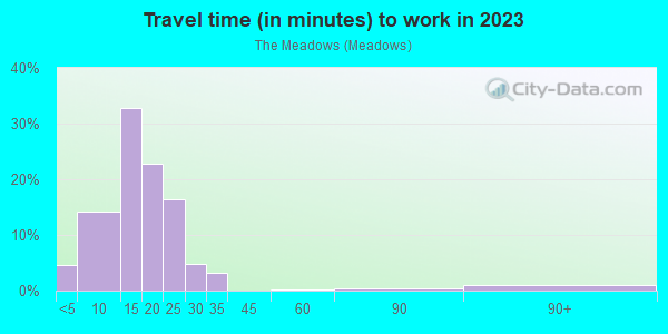 Commute time to work in The Meadows in Key West neighborhood in FL