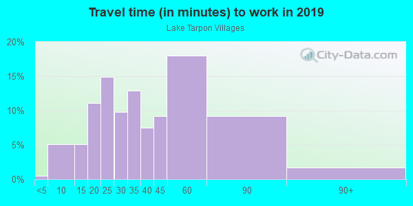 Commute time to work in Lake Tarpon Villages in Palm Harbor neighborhood in FL