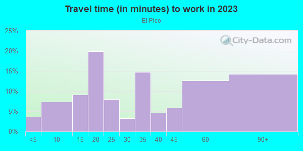 Commute time to work in El Pico in Spring Hill neighborhood in FL