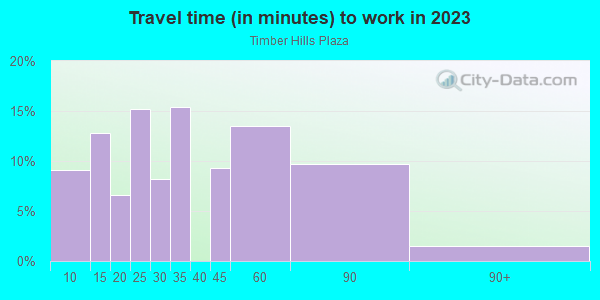 Commute time to work in Timber Hills Plaza in Spring Hill neighborhood in FL