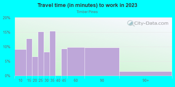 Commute time to work in Timber Pines in Spring Hill neighborhood in FL