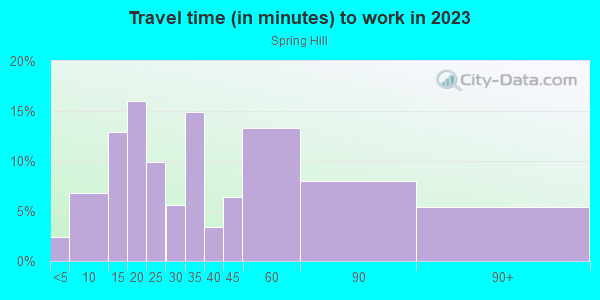 Commute time to work in Spring Hill in Spring Hill neighborhood in FL