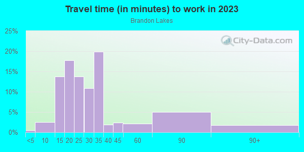 Commute time to work in Brandon Lakes in Valrico neighborhood in FL