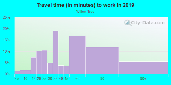 Commute time to work in Willow Tree in Woodstock neighborhood in GA