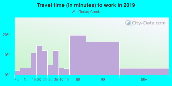 Commute time to work in Wild Turkey Creek in Ball Ground neighborhood in GA
