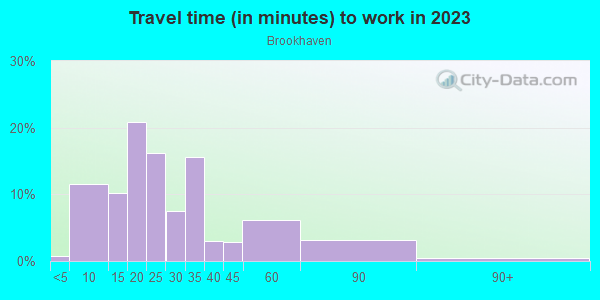 Commute time to work in Brookhaven in Atlanta neighborhood in GA
