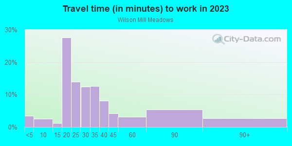 Commute time to work in Wilson Mill Meadows in Atlanta neighborhood in GA
