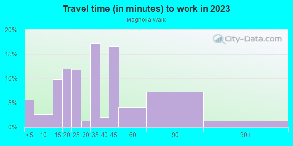 Commute time to work in Magnolia Walk in Atlanta neighborhood in GA