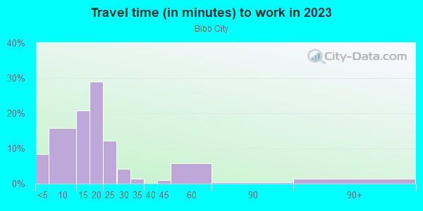 Commute time to work in Bibb City in Columbus neighborhood in GA