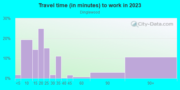 Commute time to work in Dinglewood in Columbus neighborhood in GA
