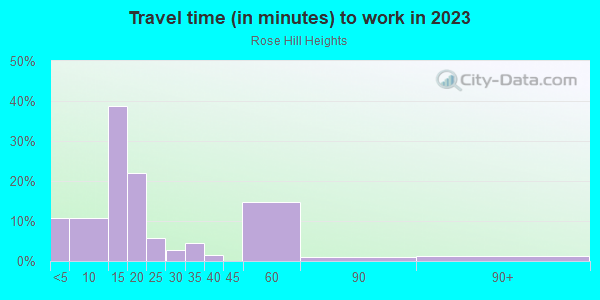 Commute time to work in Rose Hill Heights in Columbus neighborhood in GA