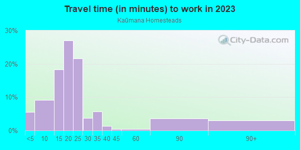 Commute time to work in Kaūmana Homesteads in Hilo neighborhood in HI