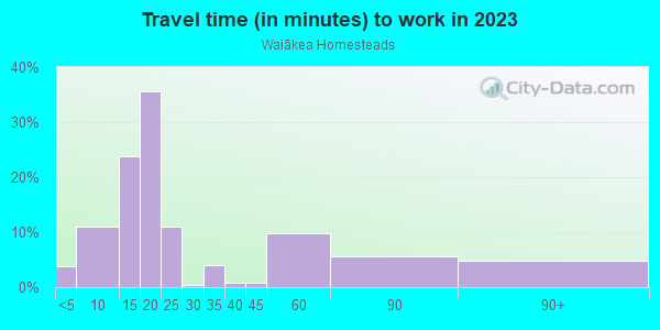 Commute time to work in Waiākea Homesteads in Hilo neighborhood in HI