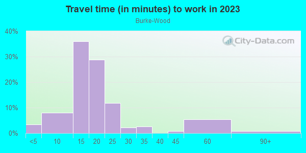 Commute time to work in Burke-Wood in Des Moines neighborhood in IA