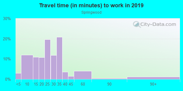 Commute time to work in Springwood in Ankeny neighborhood in IA