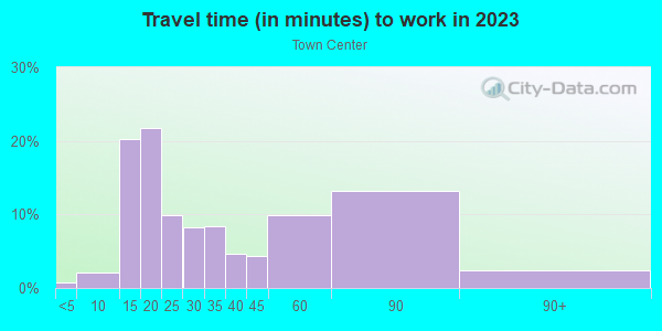 Commute time to work in Town Center in Woodridge neighborhood in IL